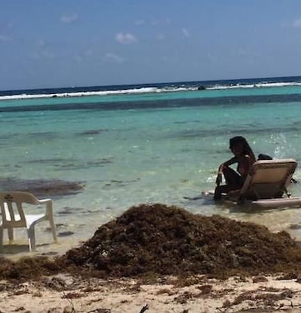 Apartament Casa Ari 2 Playa del Carmen Zewnętrze zdjęcie